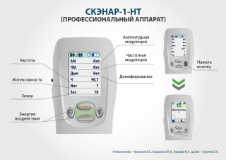 СКЭНАР-1-НТ (исполнение 01)  в Кургане купить Медицинский интернет магазин - denaskardio.ru 